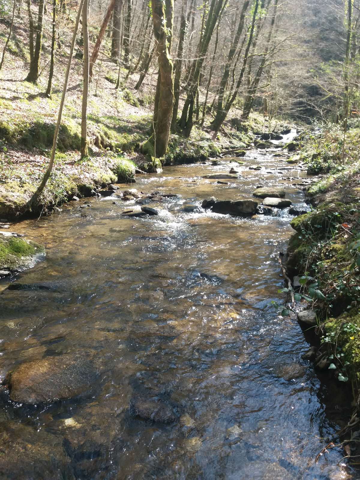 aveyron