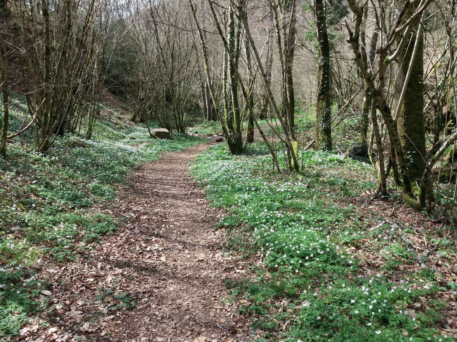 chemin druelle